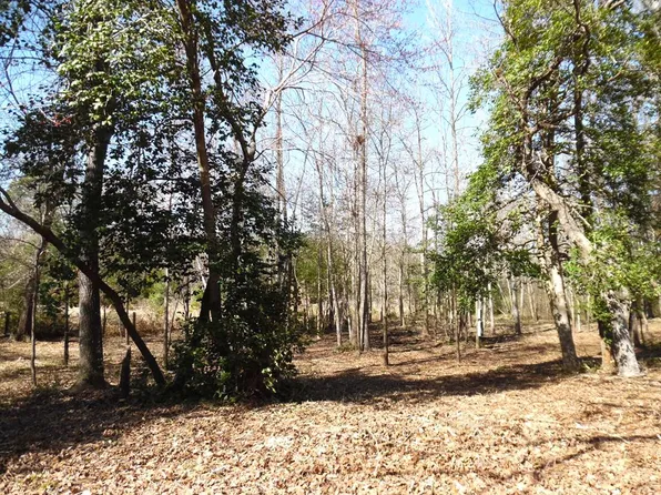 2 Maple Dr, Murchison, TX 75778