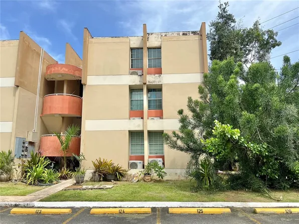 Boulevard Street Cond Boulevard Del Rio #204, Guaynabo, PR 00965