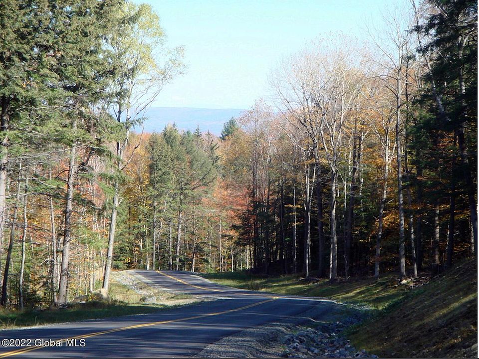 388 Plank Rd, Porter Corners, NY 12859 MLS 202227227 Zillow