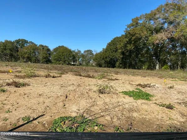 203 E Bluebird Dr, Lafayette, LA 70508