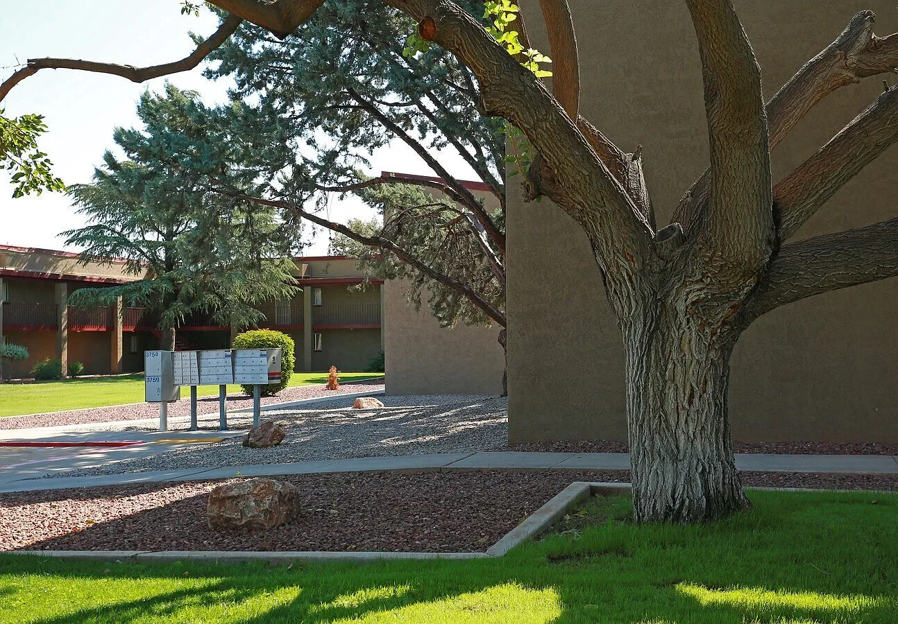 Vista Village Apartments — Photo 3