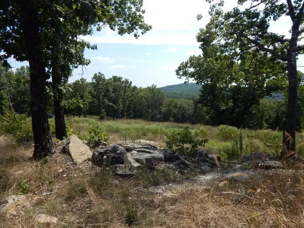 000 County Road 827, Gainesville, MO 65655