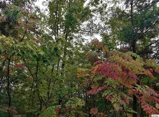 0 Stackstone Rd LOT 16E, Sevierville, TN 37862