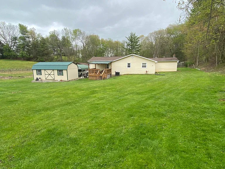 Back yard