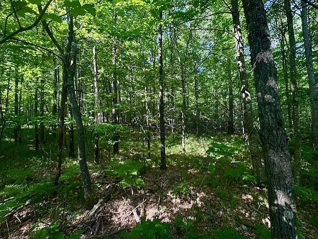 1st image of N8823 DICKERSON AVENUE