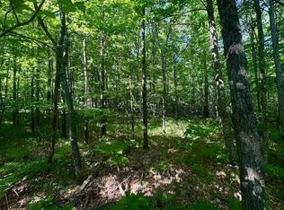 N8823 DICKERSON AVENUE, Willard, WI 54493