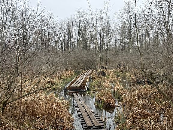 3rd image of Dewey Rd
