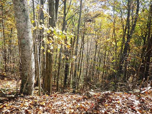 1st image of Lot 184 Ski View Dr.