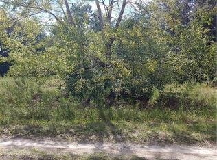 809 Long Ave, Inverness, FL 34453