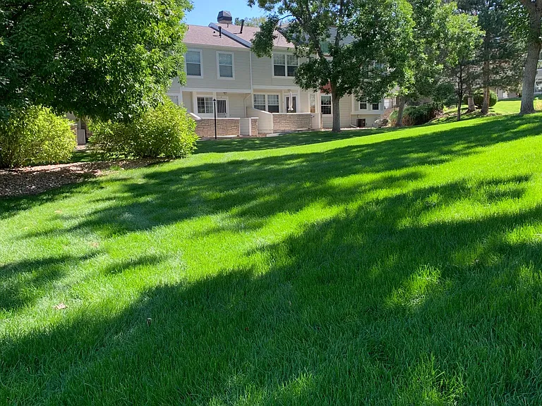 350 W Jamison Cir — Photo 1