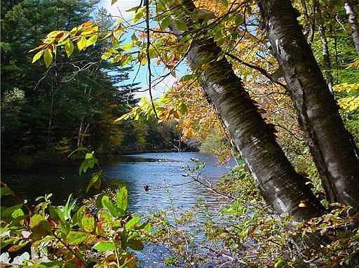 2nd image of 0.97 ac. Ossipee Trail