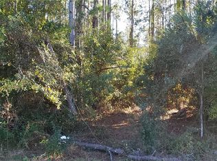 1007 Newberger Rd, Lutz, FL 33549