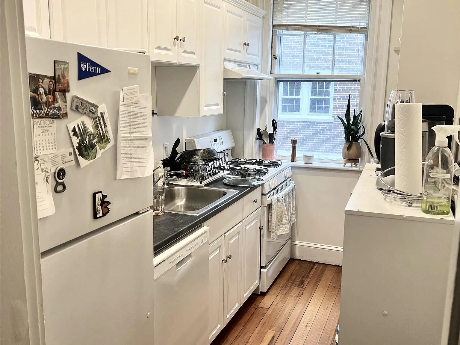 2 bed, $3,475 — Photo 4