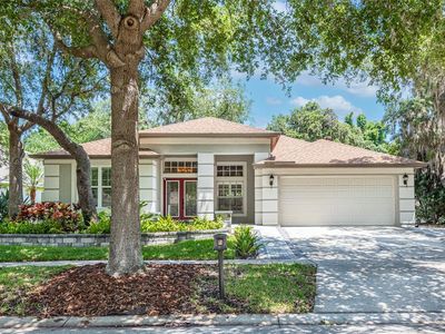 6116 Whimbrelwood Dr, Lithia, FL, 33547