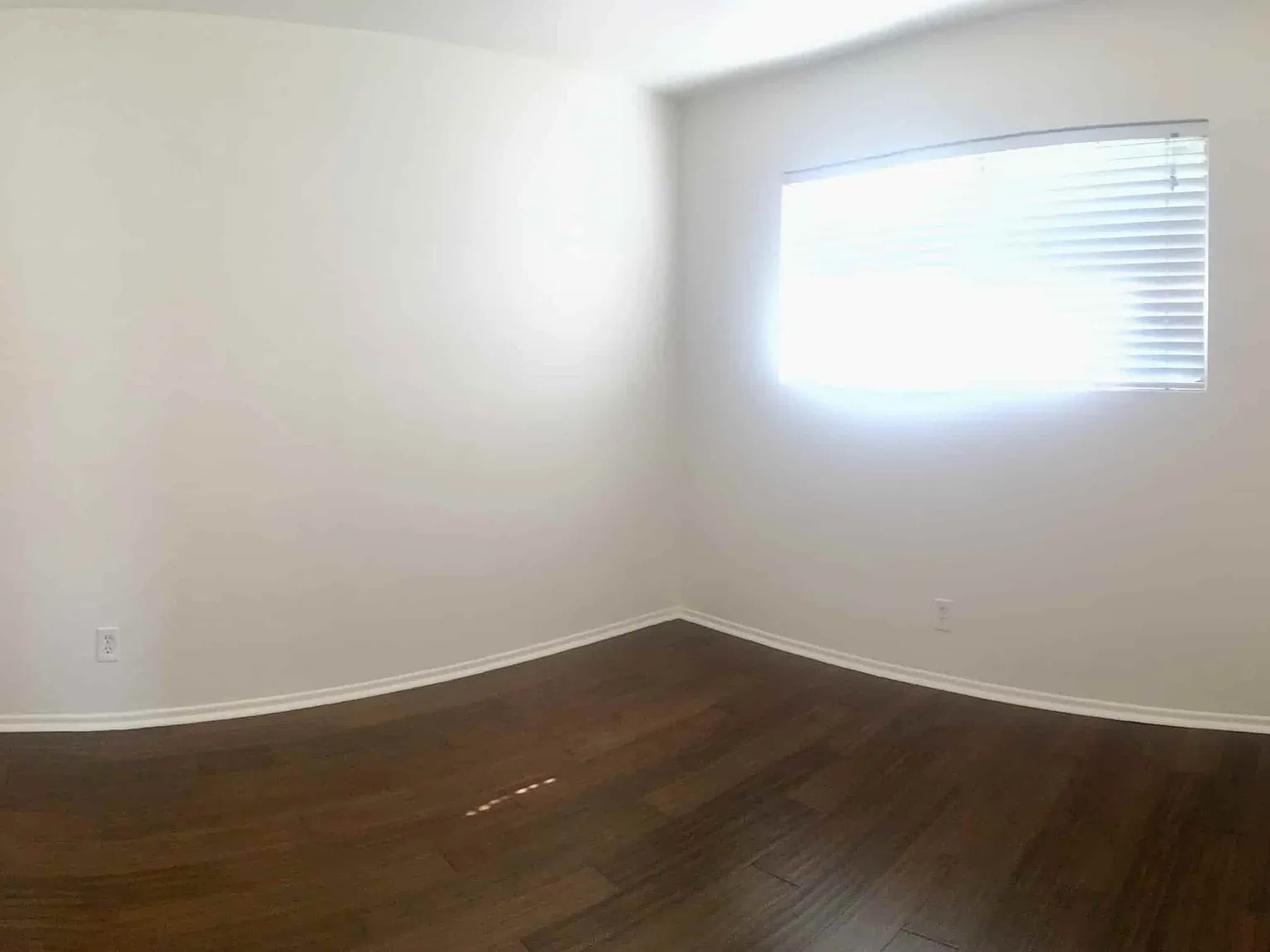 125 Holly Ave. — Photo 3