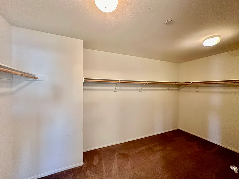 34801 Star Jasmine Pl — Photo 43