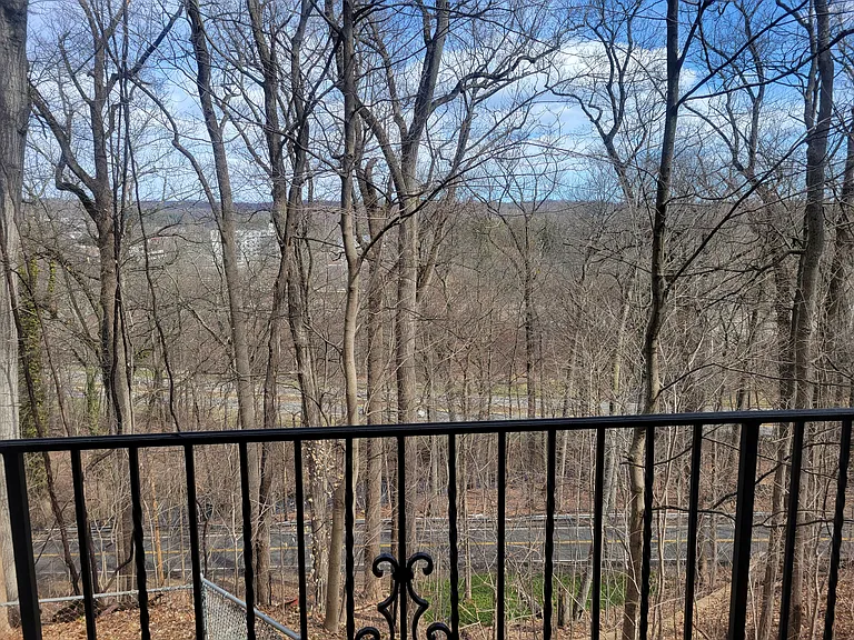 View from Deck