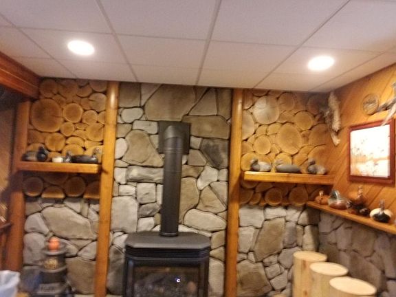 Basement fireplace and wall