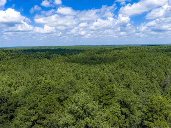 NE Off Of Fm 227, Kennard, TX 75847