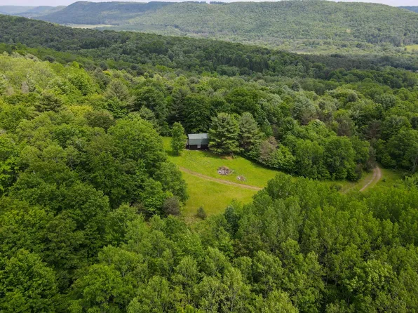 3187 Wightman Rd, Wellsville, NY 14895