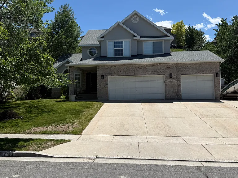 E Candle Spruce Cv — Photo 1