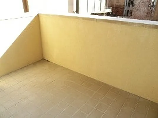 Rented by Site Realty Services | media 19