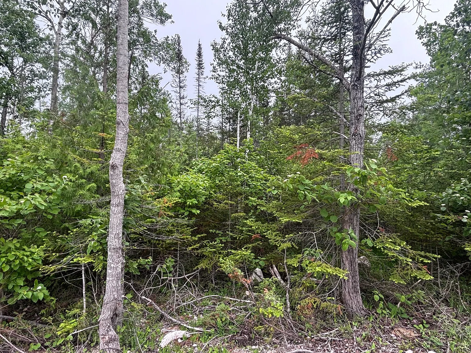 LOT 133 Laurel Hill Cir photo 1
