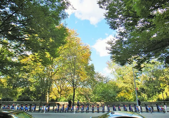 Rented by Balass Ralph, LREB | media 21