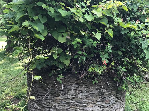 2nd image of 5 Elfwood Dr