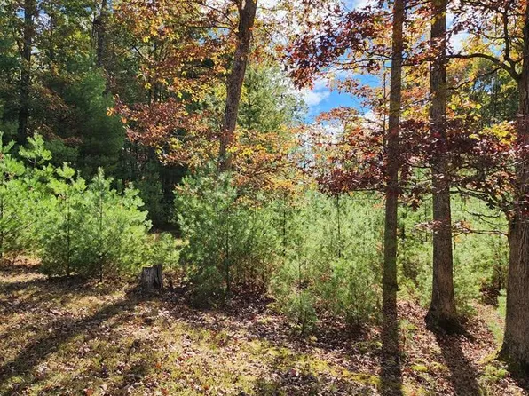 125 March Chapel Ln, Daniels, WV 25832