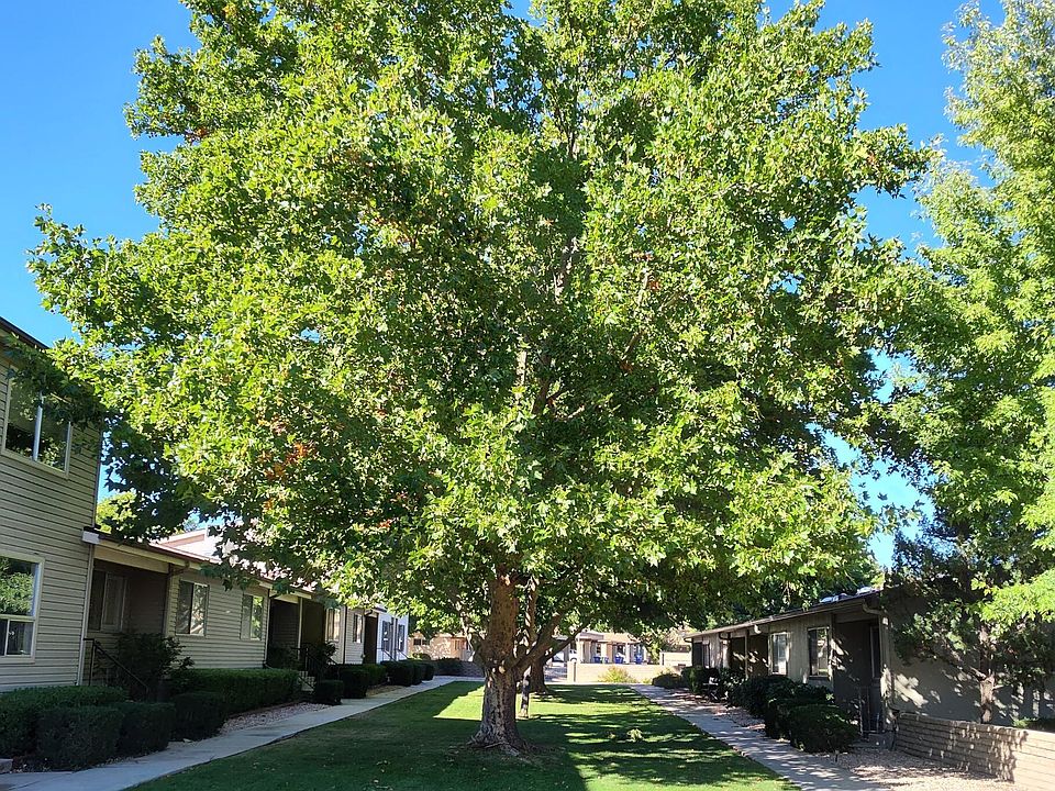 2nd image of 335 Country Club Cir