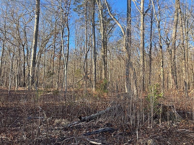 2nd image of Lot # 3 Peakview Ln