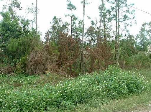 2nd image of  D Road