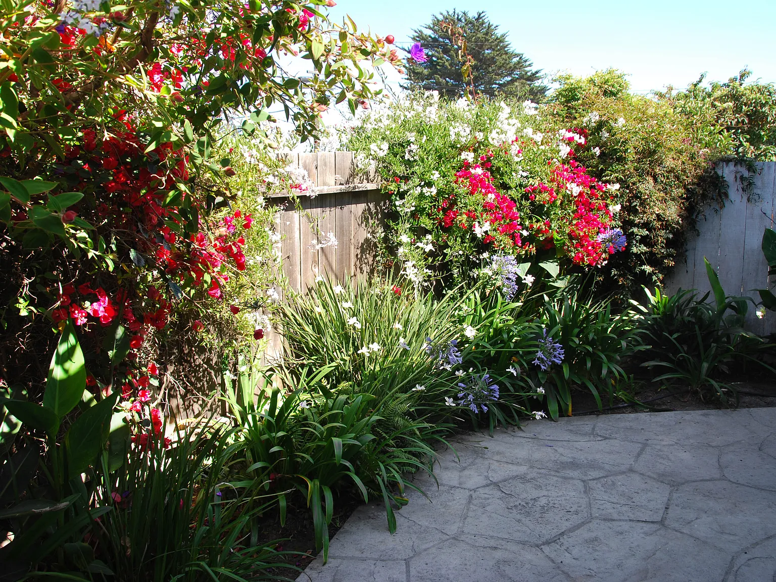 Private Patio