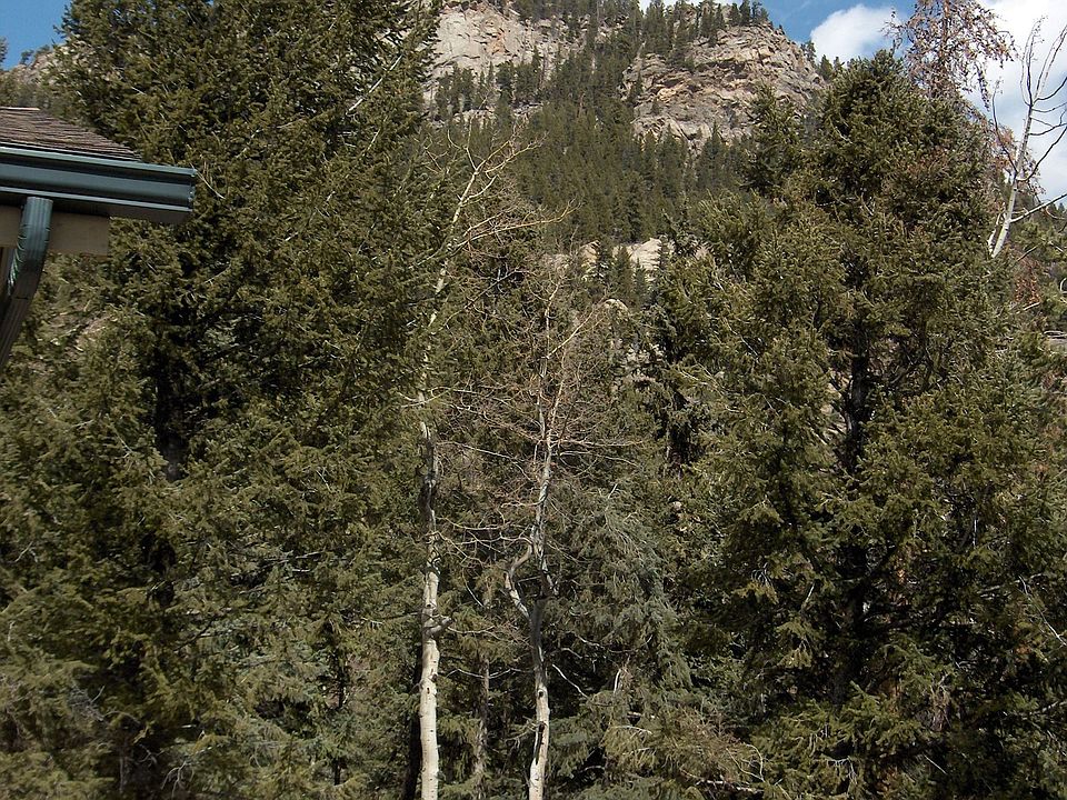 view from main level deck