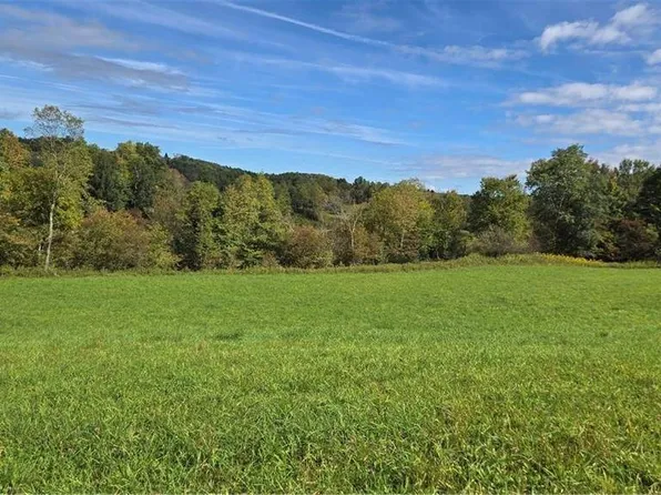 244 Backus Rd, Burlington Flats, NY 13315