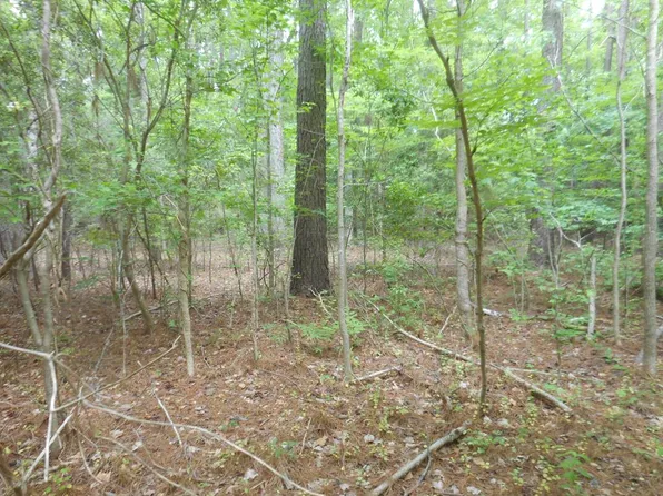 LOT 21 Yeo Neck Run, Melfa, VA 23410