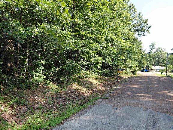 5th image of Buckboard Road Ridge Dr