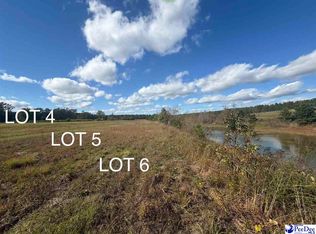 LOT 6 Mallory Beach Rd, Latta, SC 29565