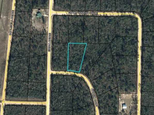 0 Andrew Ct, Alford, FL 32420