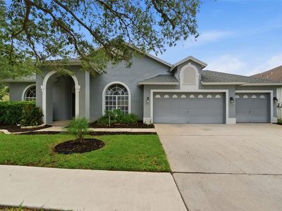19348 Wind Dancer St, Lutz, FL, 33558