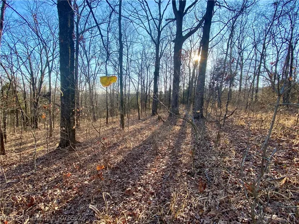 Liberty Hill Rd, Natural Dam, AR 72948