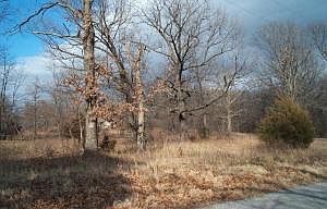 1st image of Grand Carey Ests