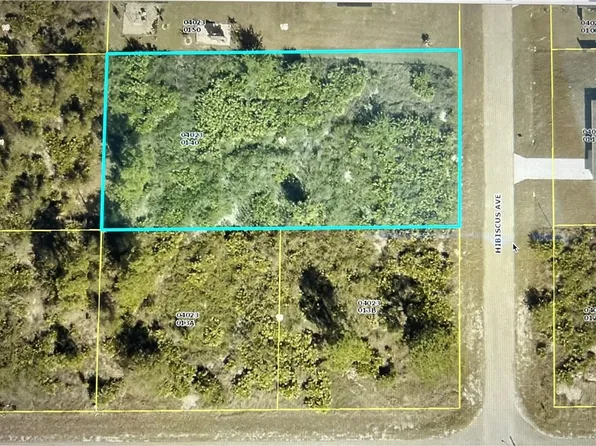 1303 Hibiscus Ave, Lehigh Acres, FL 33972