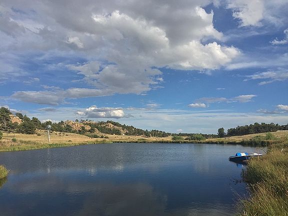 Pond view