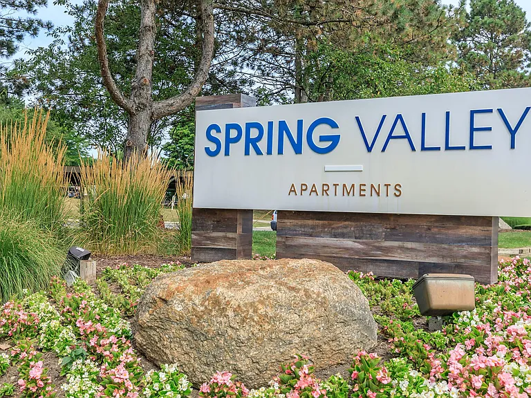 Spring Valley — Photo 16