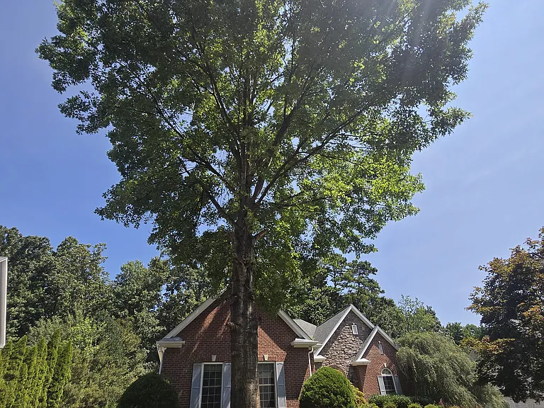 5935 Lake Oak Lndg — Photo 39