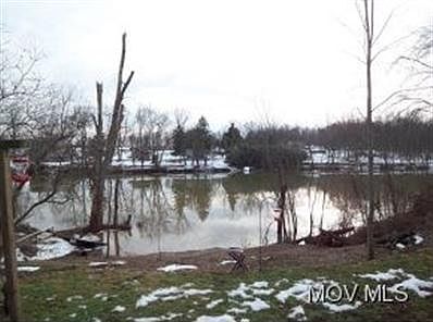 5th image of 81 Burning Bush Dr