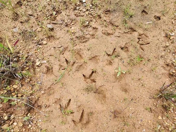 Valley Ln SE, Summit, MS 39666