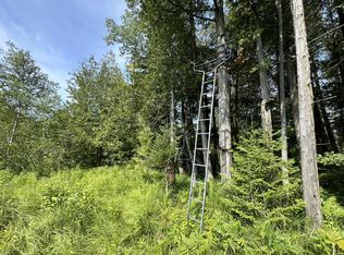 0 W Bawkey Rd, Farwell, MI 48622